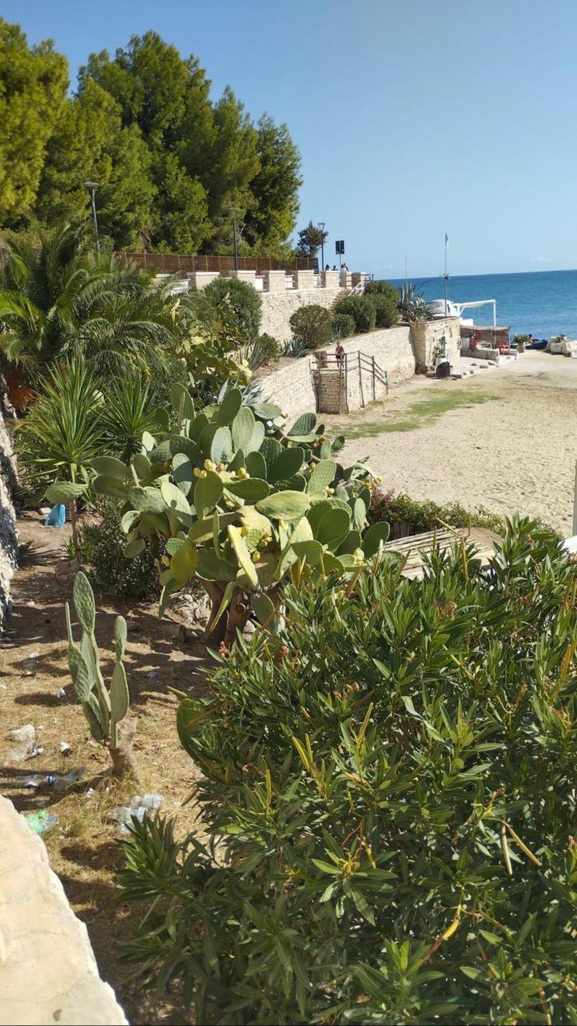 B&B Villa Mediterranee Con Parking Space Trani Luaran gambar
