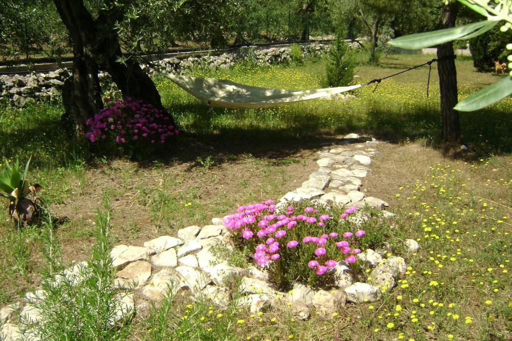B&B Villa Mediterranee Con Parking Space Trani Luaran gambar