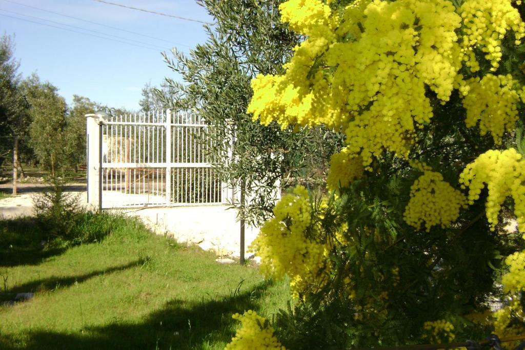 B&B Villa Mediterranee Con Parking Space Trani Luaran gambar